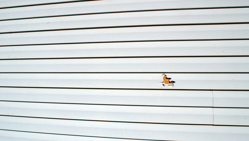 Professional Siding Repair Work