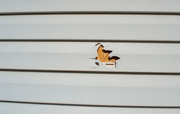 Siding Hole Patching in Encinitas